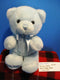 Aurora Baby Blue Teddy Bear Baby Boy Plush