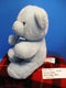 Aurora Baby Blue Teddy Bear Baby Boy Plush