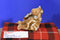 Russ Gisella Giraffe Large and Small Fur Coat Beanbag Plush