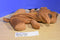 Dan Dee Big Eyed Brown Dog Plush 2014 Corduroy Pouch Bag