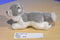 Aurora Miyoni Husky Puppy Dog Beanbag Plush