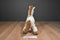 Animal Adventure White Brown Pinto Horse 2016 Plush