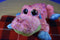 Wild Republic Sweet and Sassy Alligator Crocodile 2014 Beanbag Plush