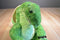 Build-A-Bear Green and Yellow Spinosaurus 2014 Plush