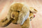 Tel/Fax Roxi the Cocker Spaniel Children's Bag Purse Plush