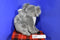 Go! Games Koala and Baby Plush