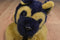 Dakin German Shepherd Puppy Dog1992 Plush