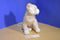 Ty Classic Blossom Pink Cat 2000 Plush with blue eyes
