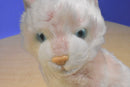 Ty Classic Blossom Pink Cat 2000 Plush with blue eyes