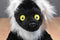 Wild Republic Black and White Lemur 2016 Beanbag Plush