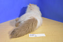 Westcliff Collection Himalayan Cat Plush