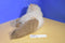 Westcliff Collection Himalayan Cat Plush