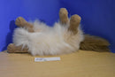Westcliff Collection Himalayan Cat Plush