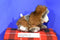 Target Bullseye Eskimo Alaskan Fur Coat 2008 Plush