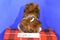 Target Bullseye Eskimo Alaskan Fur Coat 2008 Plush