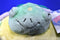 Squishable Snugglemi Green Sea Turtle 2016 Plush