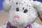 Toy Factory Plush Paradise White Teddy Bear with Hearts 2019 Plush
