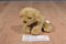 Miniature Golden Retriever Puppy Dog Beanbag Plush