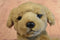 Miniature Golden Retriever Puppy Dog Beanbag Plush