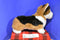 Douglas Kirby Tri-Color Corgi Dog Plush