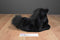 A&A Aurora Flopsies Raven Black Horse Beanbag Plush