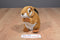 Smithsonian's Backyard Sound Prints Eastern Chipmunk 2000 Plush