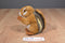 Smithsonian's Backyard Sound Prints Eastern Chipmunk 2000 Plush