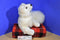 Fiesta Arctic Fox Plush