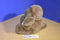 Recycled Paper Products Zoominary Boynton Thomas Dog 1985 Plush