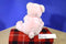 Russ Pink Teddy Bear Rattle Plush