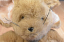 Yang Jee Target Dayton-Hudson Sneakers the Mouse 1988 Plush