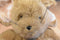 Yang Jee Target Dayton-Hudson Sneakers the Mouse 1988 Plush