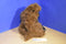 Walmart Brown Black Faced Monkey Plush