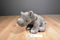 Wild Republic Grey Rhino Calf 2014 Beanbag Plush