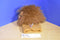 Aurora Leon Lion Plush Puppet
