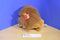 Aurora Leon Lion Plush Puppet