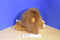Aurora Leon Lion Plush Puppet