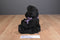 Boyd's Bears Zelda Z. Witchypuss Black Cat 2001 Beanbag Plush