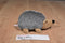 Aurora Howie the Hedgehog 2016 Beanbag Plush
