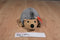Aurora Howie the Hedgehog 2016 Beanbag Plush