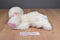 Animal Alley White Poodle with Pink Ears and Bows 2000 Beanbag Plush