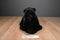 Aurora Flopsie Black Bear Blackstone 2017 Beanbag Plush