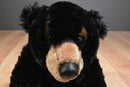 Aurora Flopsie Black Bear Blackstone 2017 Beanbag Plush