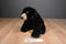 Aurora Flopsie Black Bear Blackstone 2017 Beanbag Plush