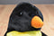 Ty Beanie Buddy Waddles Penguin 1998 Beanbag Plush