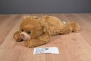 Ty Classic Baby Paws Brown 2011 Beanbag Plush