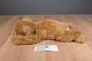 Ty Classic Baby Paws Brown 2011 Beanbag Plush