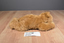 Ty Classic Baby Paws Brown 2011 Beanbag Plush