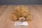 Ty Classic Baby Paws Brown 2011 Beanbag Plush