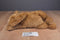 Ty Classic Baby Paws Brown 2011 Beanbag Plush